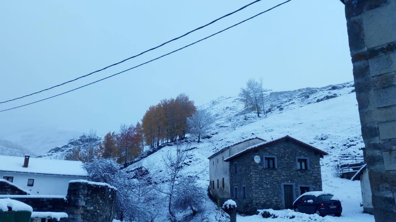 La nieve llega a la provincia de León. (Tolibia de Arriba)