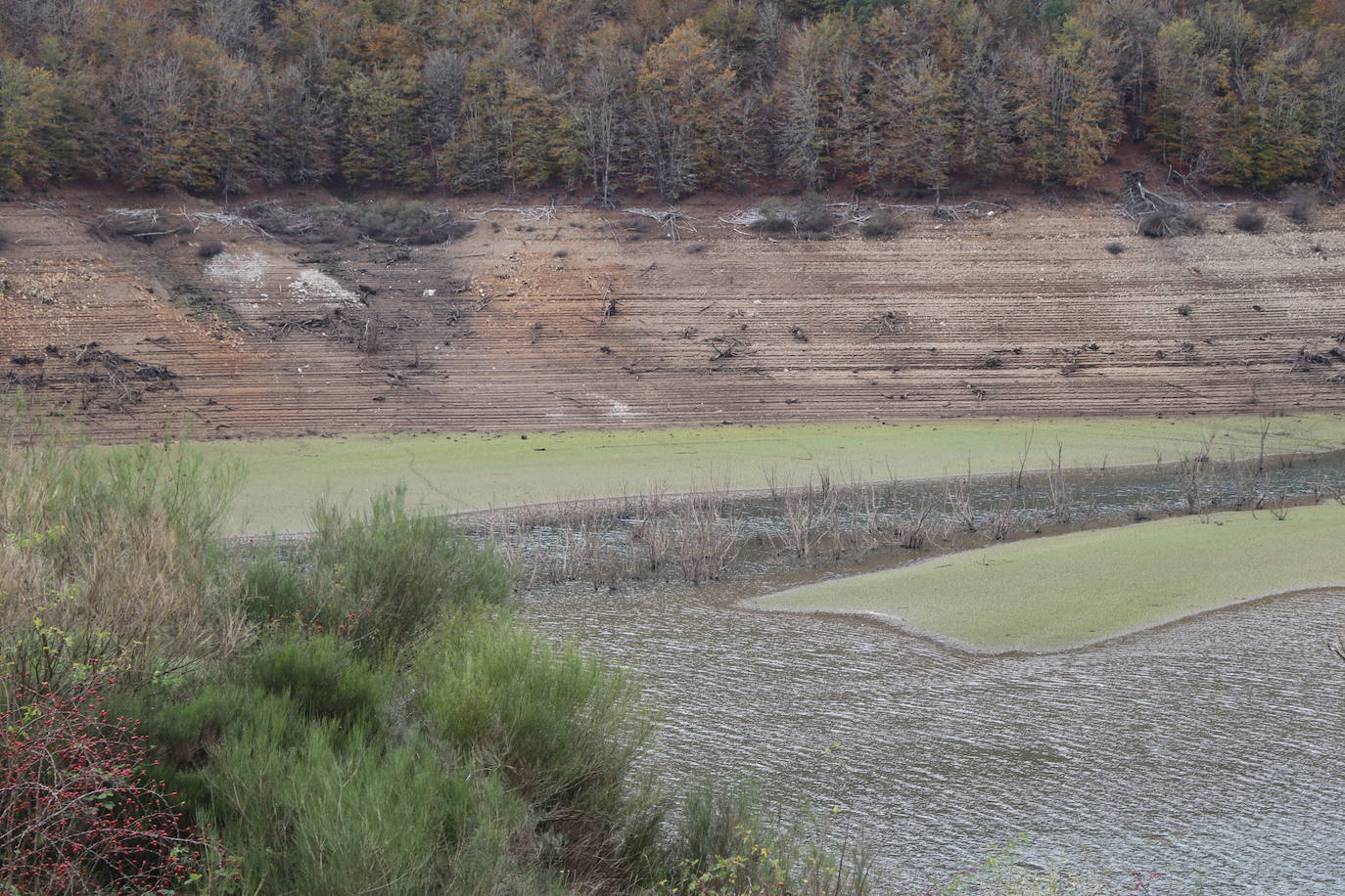 Con un 35% de agua embalsada, un dato que sigue sorprendiendo, el pantano de Riaño comienza una lenta recuperación. 