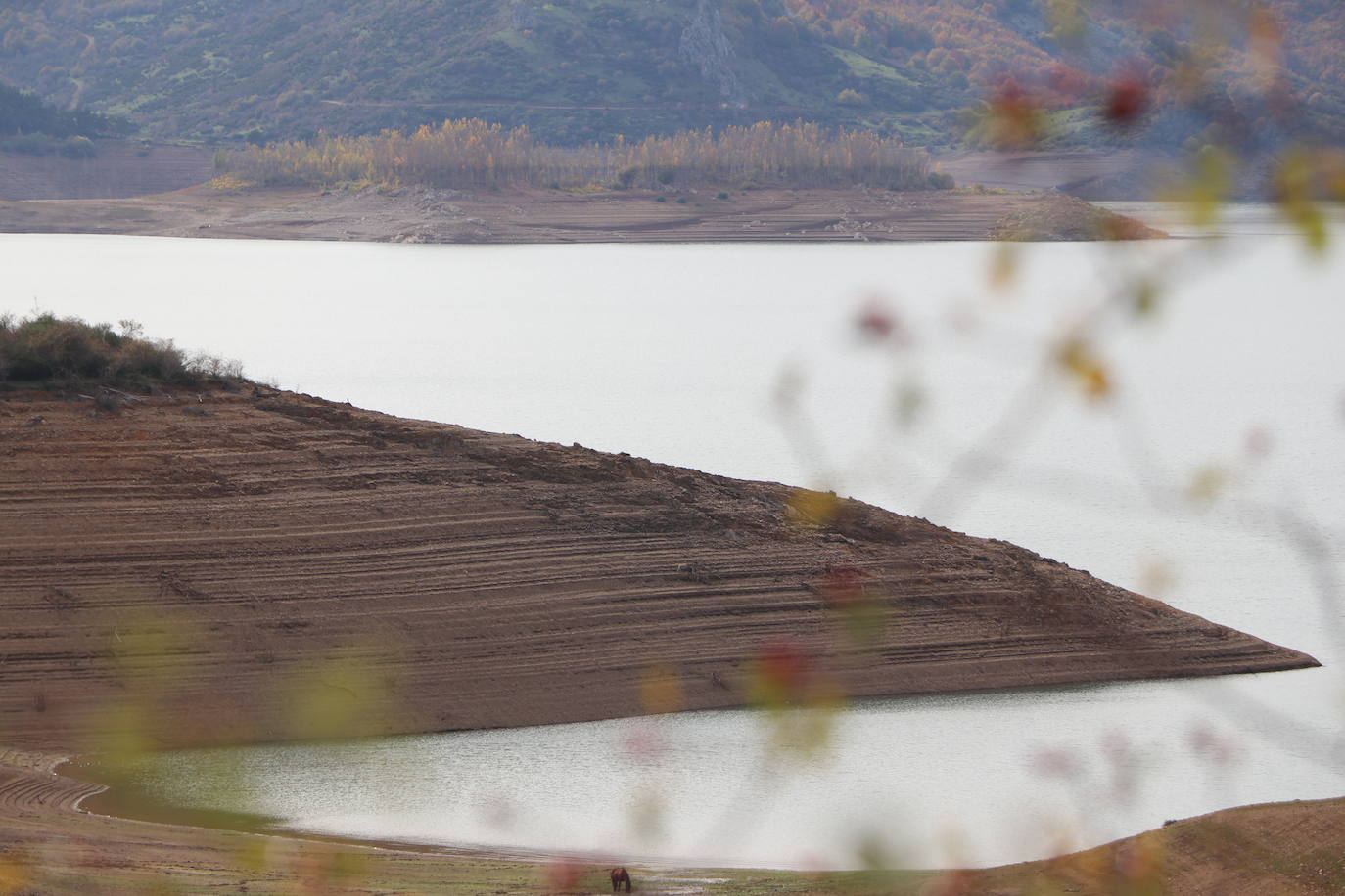 Con un 35% de agua embalsada, un dato que sigue sorprendiendo, el pantano de Riaño comienza una lenta recuperación. 