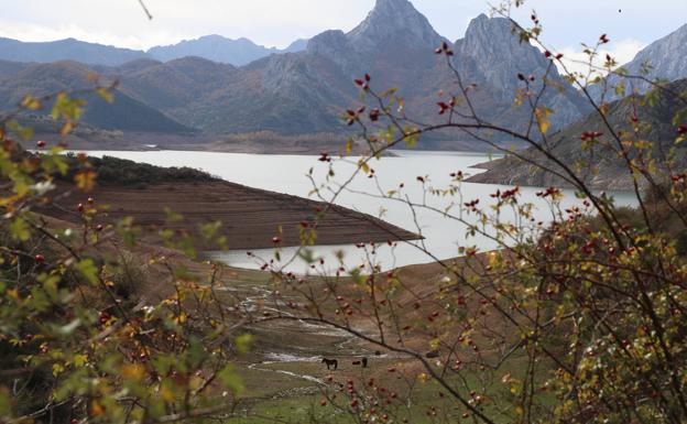 Imagen del pantano de Riaño este mes de noviembre. 