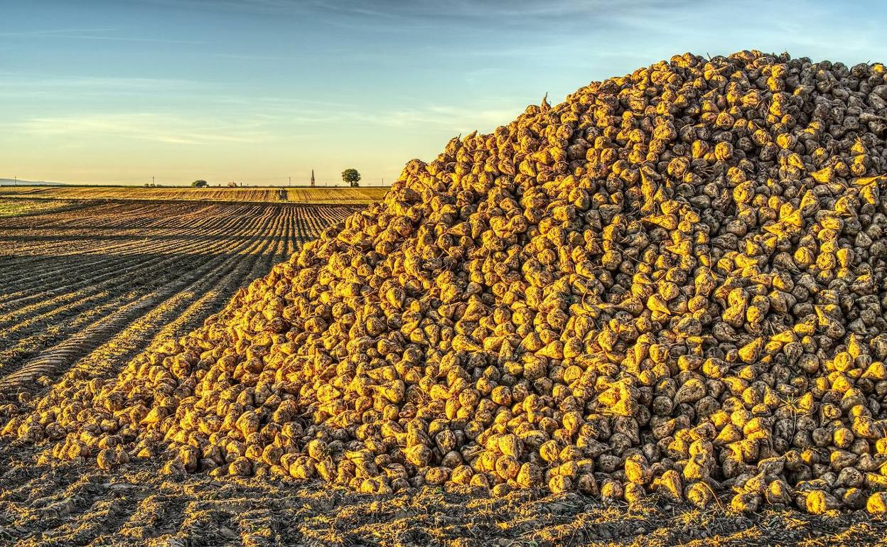 Asaja pide que la ayuda de 300 euros por hectárea llegue también a los agricultores de Valduerna.