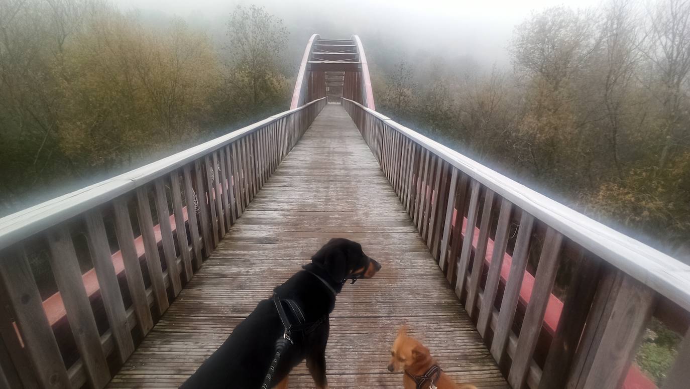 Helada y niebla en Ponferrada