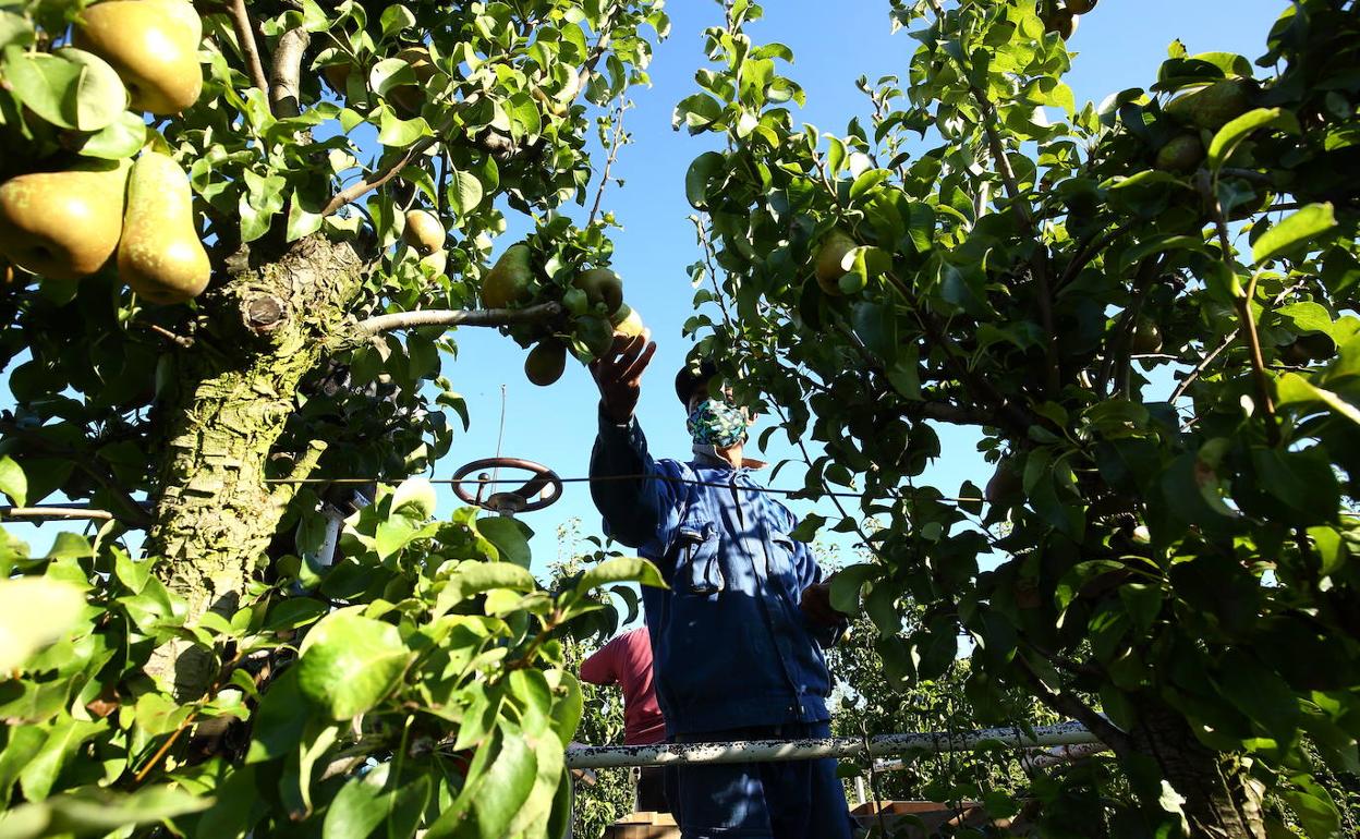 Piden que se trabaje más en la transformación del producto para asentar población. 