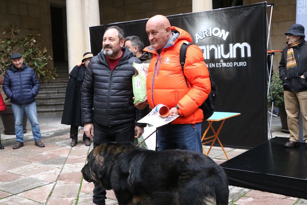 Fotos: Entrega de premios del XXIX Campeonato de León de mastines