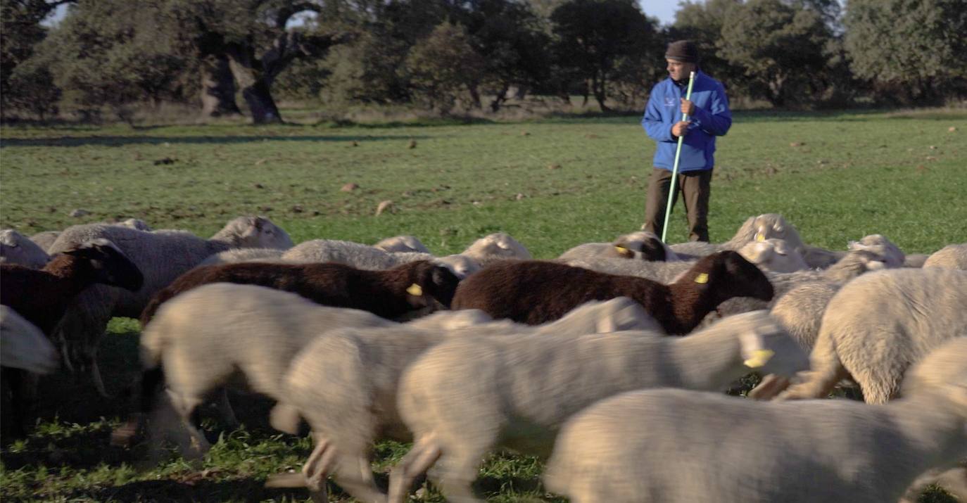 Fotos: La televisión pública alemana DW elige Castilla y León para poner en valor el medio rural y el oficio de pastor