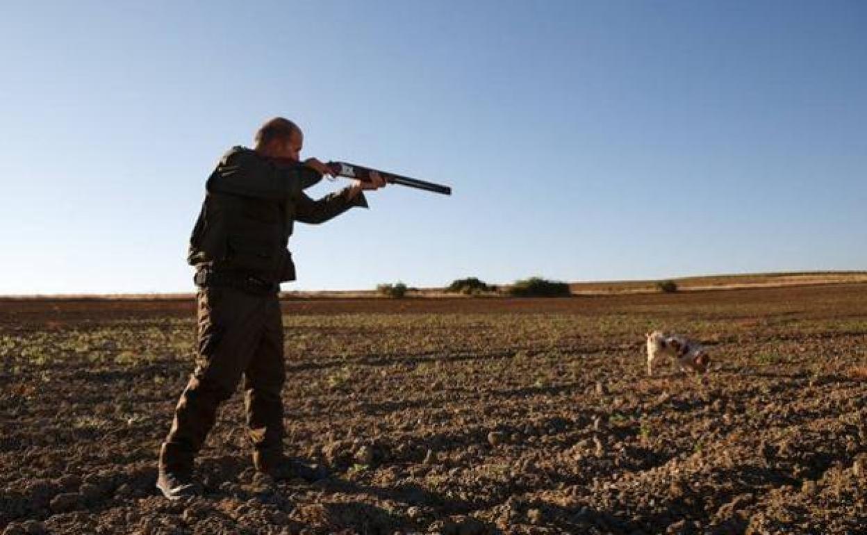 Los naturalistas explicaron que durante estos periodos es habitual un incremento del turismo interior.