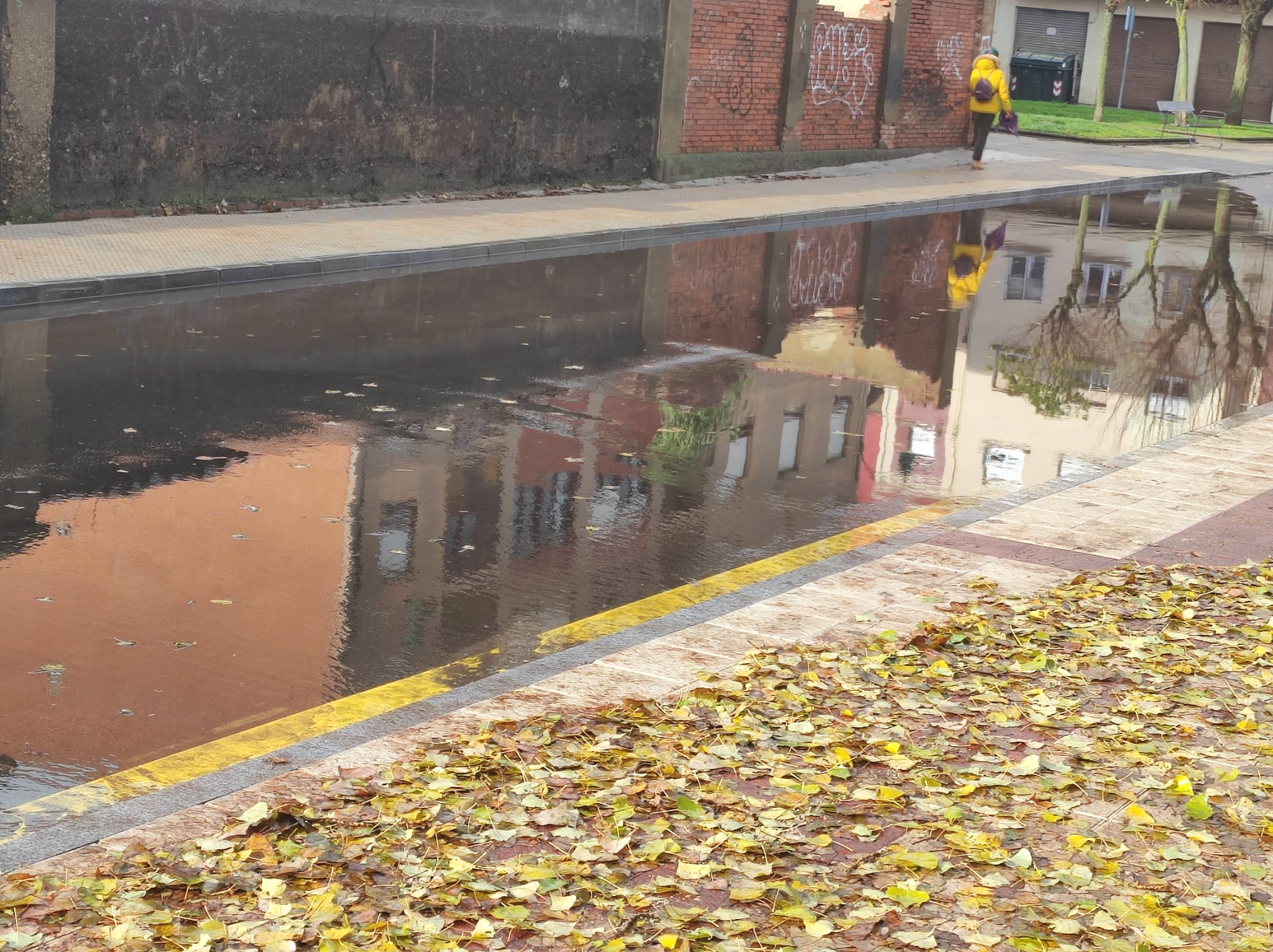 Fotos: Una gran balsa de agua en el acceso a la rotonda del Palacio de Exposiciones