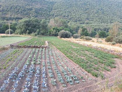 La FAO reconoce 10.000 kilómetros cuadrados en León como Sistema Importante del Patrimonio Agrícola Mundial.