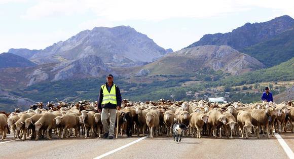 La FAO reconoce 10.000 kilómetros cuadrados en León como Sistema Importante del Patrimonio Agrícola Mundial.