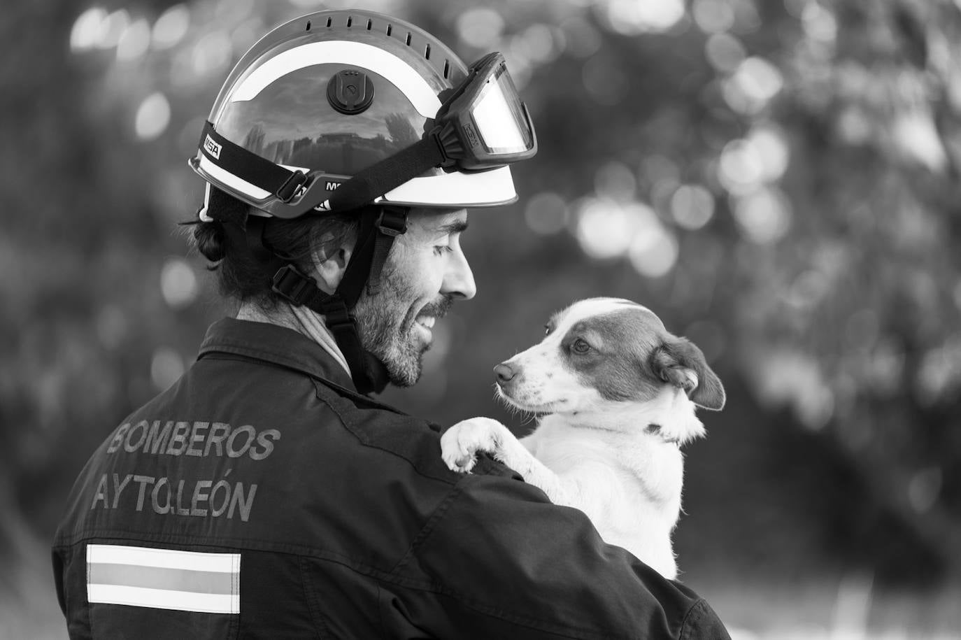 Los bomberos de la capital lanzan un calendario a beneficio de la Asociación Protectora de Animales y Plantas de León. Los profesionales del servicio de extinción de incendios pretenden concienciar sobre la necesidad de cuidar a los animales. 