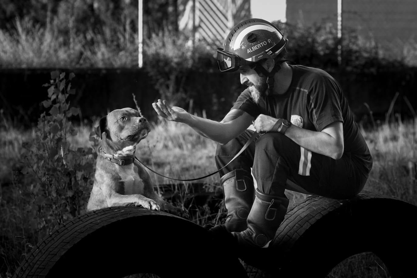 Los bomberos de la capital lanzan un calendario a beneficio de la Asociación Protectora de Animales y Plantas de León. Los profesionales del servicio de extinción de incendios pretenden concienciar sobre la necesidad de cuidar a los animales. 