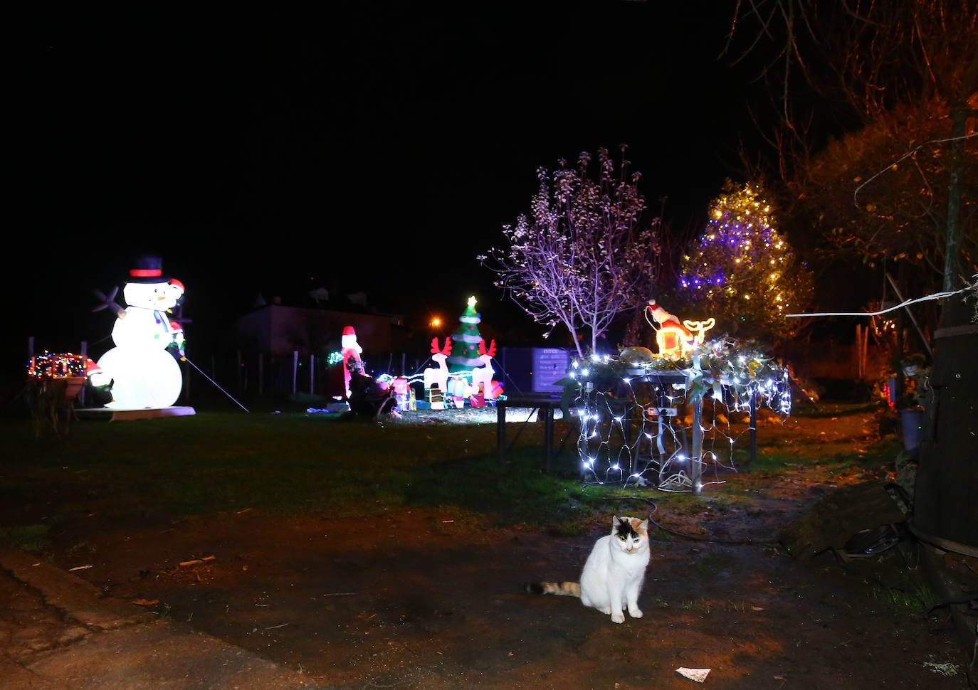 Iluminacion navideña en la localidad de San Andrés de Montejos