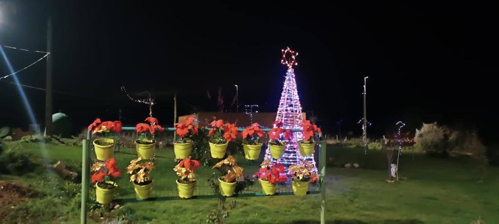 Algunas de las decoraciones que participan en el concurso navideño del Ayuntamiento de Valdevimbre.