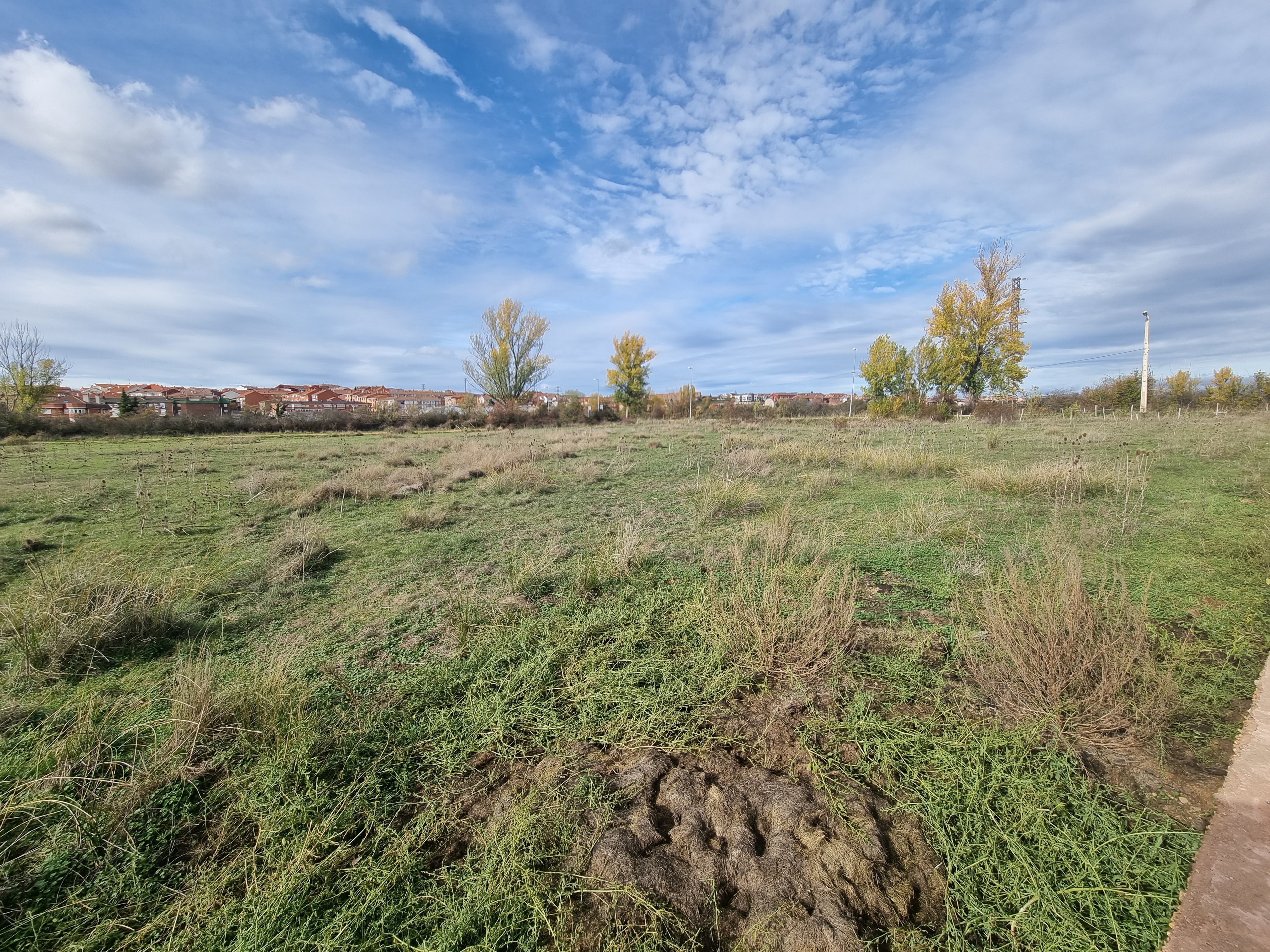 El pleno extraordinario que tendrá lugar este jueves en el Ayuntamiento de Villaquilambre servirá para dar luz verde a una operación de crédito tasada en 1.200.000 euros, sin cadencia y con un plazo de amortización de 20 años, con los que se financiará la mayoría del coste de urbanización de los terrenos en los que se han de ubicar el Instituto y el Centro de Salud.