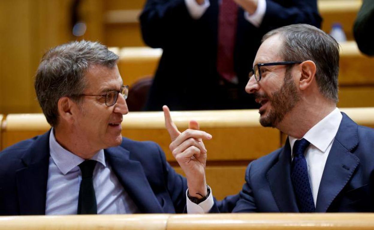 El senador Javier Maroto (PP) y el líder del PP, Alberto Núñez Feijòo esta mañana en el Senado