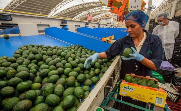 Publicada la convocatoria de ayudas para el fortalecimiento industrial dentro del PERTE Agroalimentario por 510 millones de euros