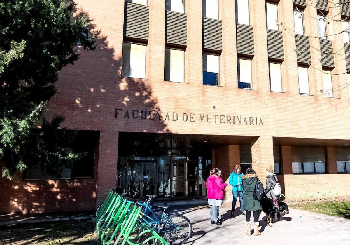 Facultad de Veterinaria de la Universidad de León.