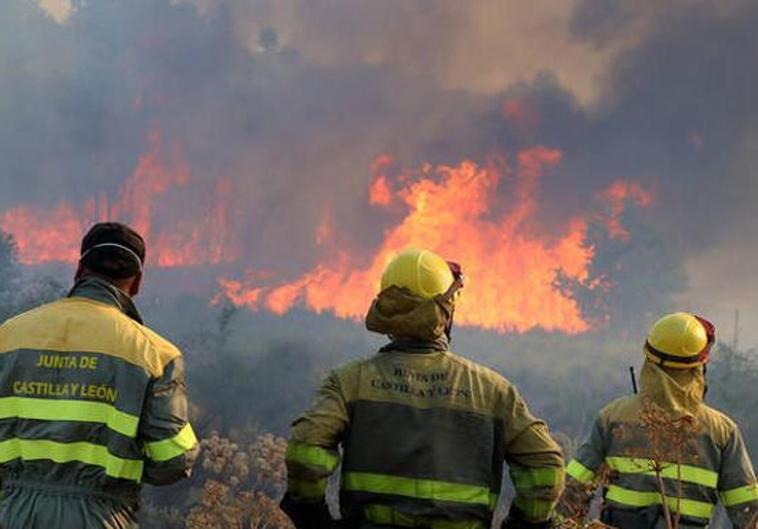 Las brigadas forestales exigen a la Junta que se les reconozca su trabajo: «somos bomberos, no peones»