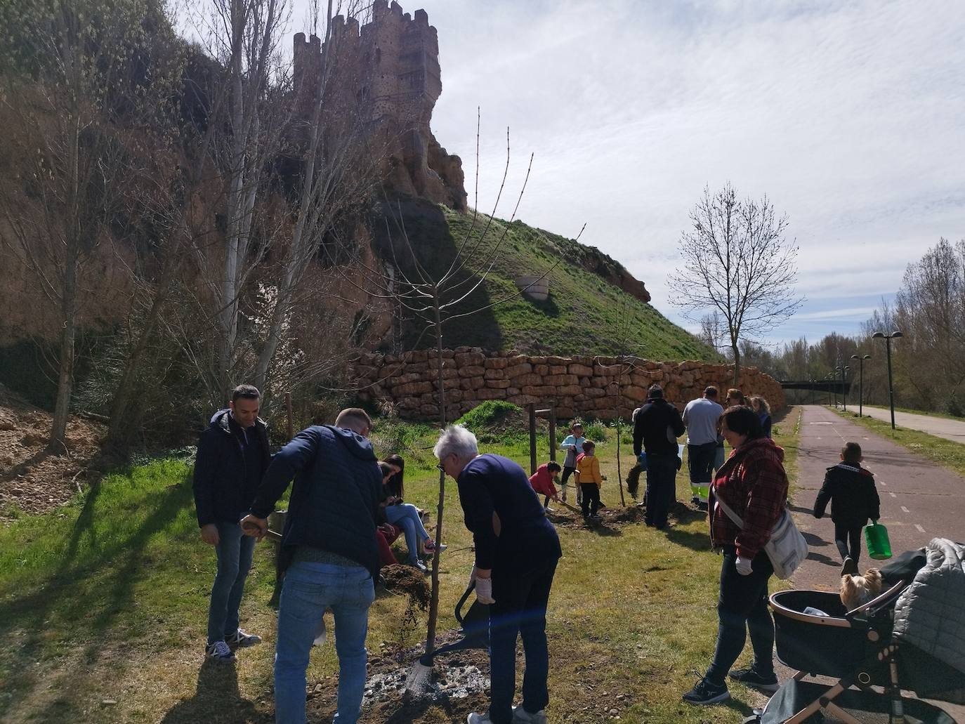 Nuevos árboles en el paseo del río de Valencia de Don Juan