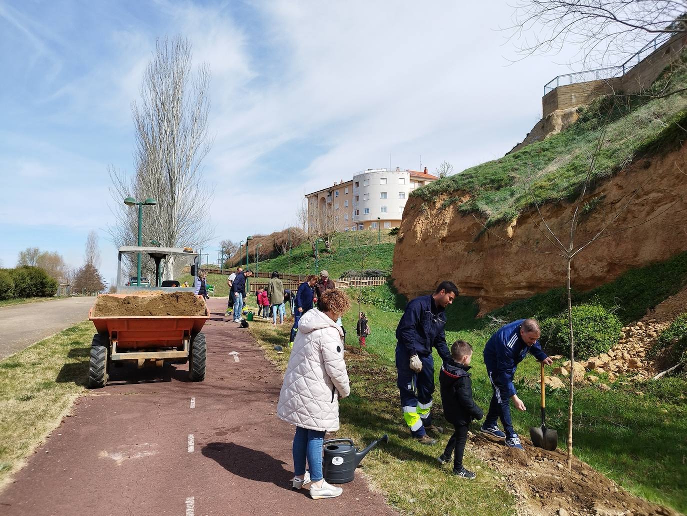 Nuevos árboles en el paseo del río de Valencia de Don Juan