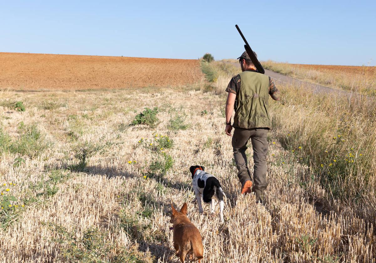 Imagen de un cazados con sus perros.