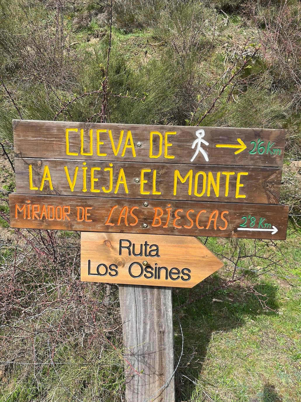 Una ruta para descubrir los &#039;osines&#039; de Riaño