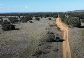 Imagen del área dañada por el paso de la maquinaria pesada.