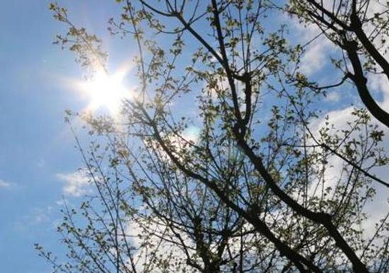 Cielos parcialmente cubiertos y temperaturas primaverales en León