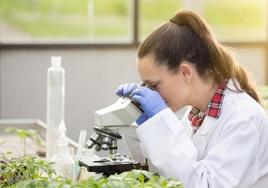 Jóvenes investigadores en Castilla y León.