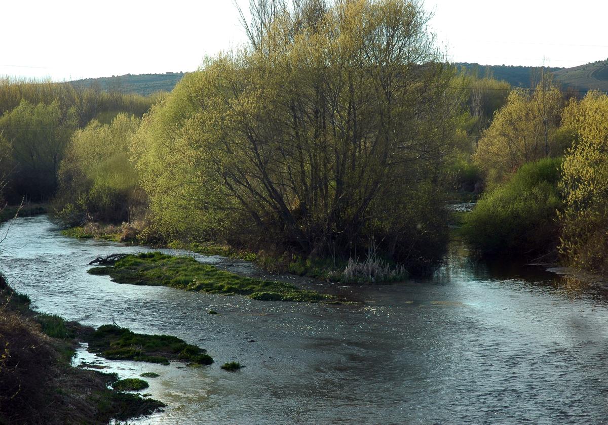 Ecologistas en Acción consideró que la CHD «transgrede incluso lo aprobado por decreto en el Plan Hidrológico de cuenca«