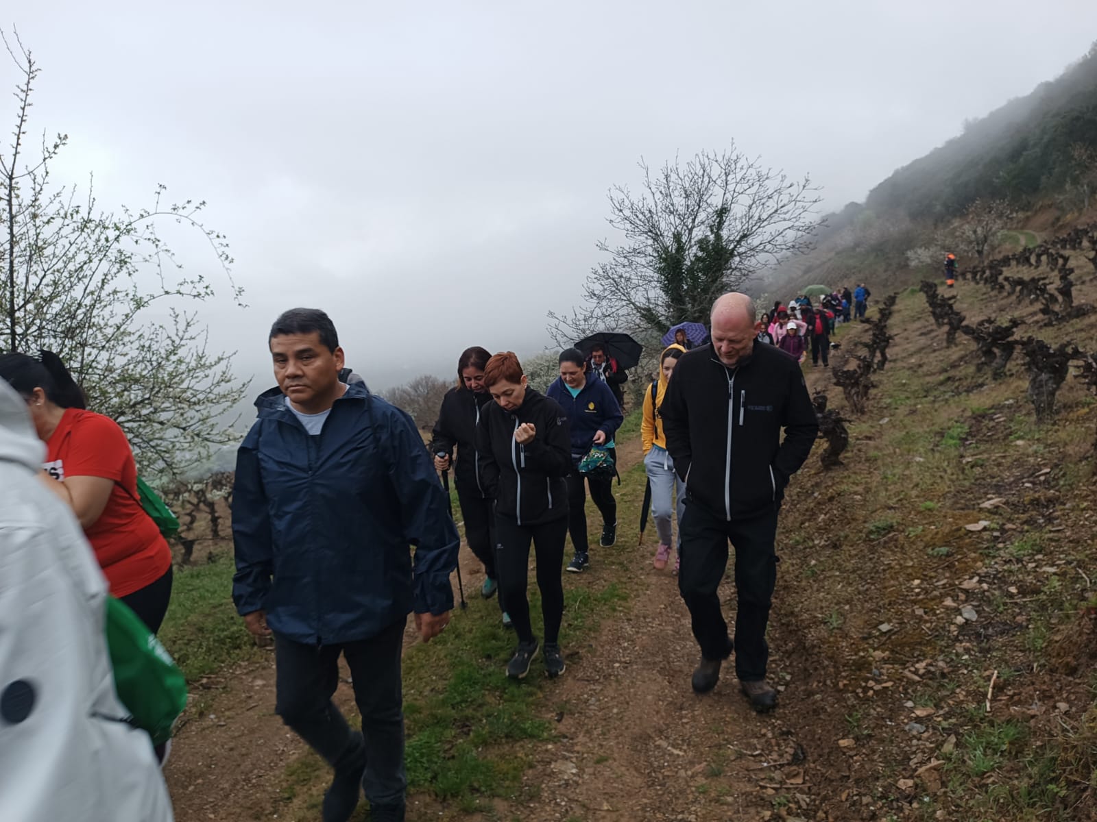 Ruta por la Calidad de El Bierzo