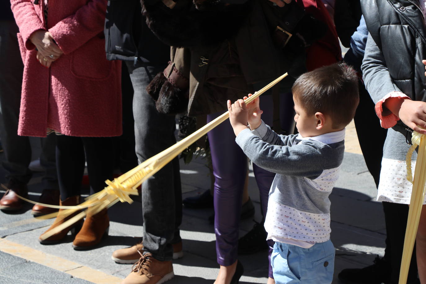 Procesión de las Palmas en León