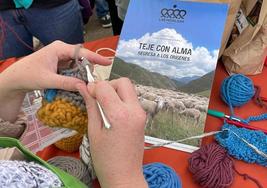 Actividades en el Día Europeo de la lana