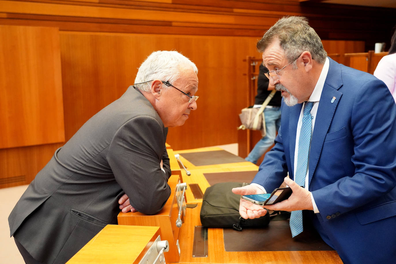 Pleno de las Cortes de Castilla y León