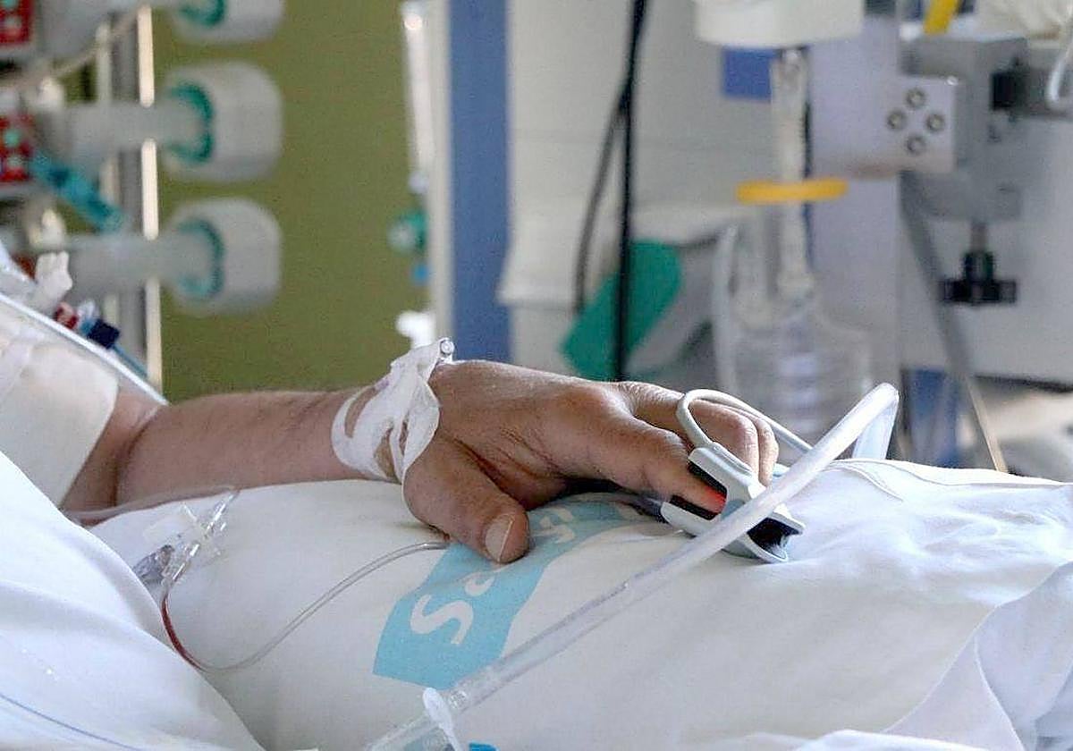 Cinco millones de euros para el servicio de seguridad del Caule