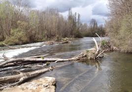 Imagen del río Porma, en el que Asaja se opone a la reducción del caudal.