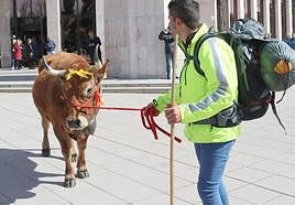 El ganadero de Tejedo del Sil ha llegado, acompañado de Mariposa, a la delegación territorial de la Junta de Castilla y León.