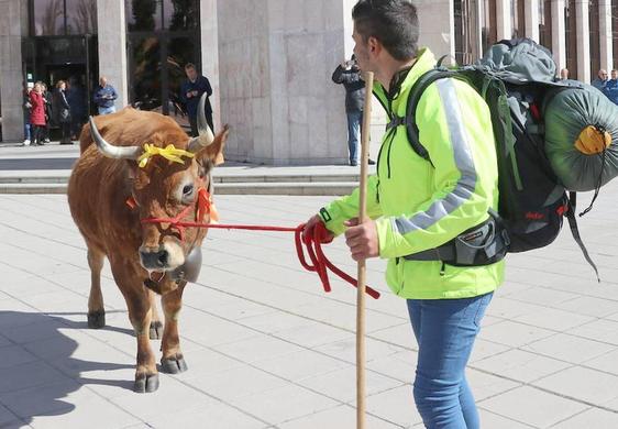 El ganadero de Tejedo del Sil ha llegado, acompañado de Mariposa, a la delegación territorial de la Junta de Castilla y León.