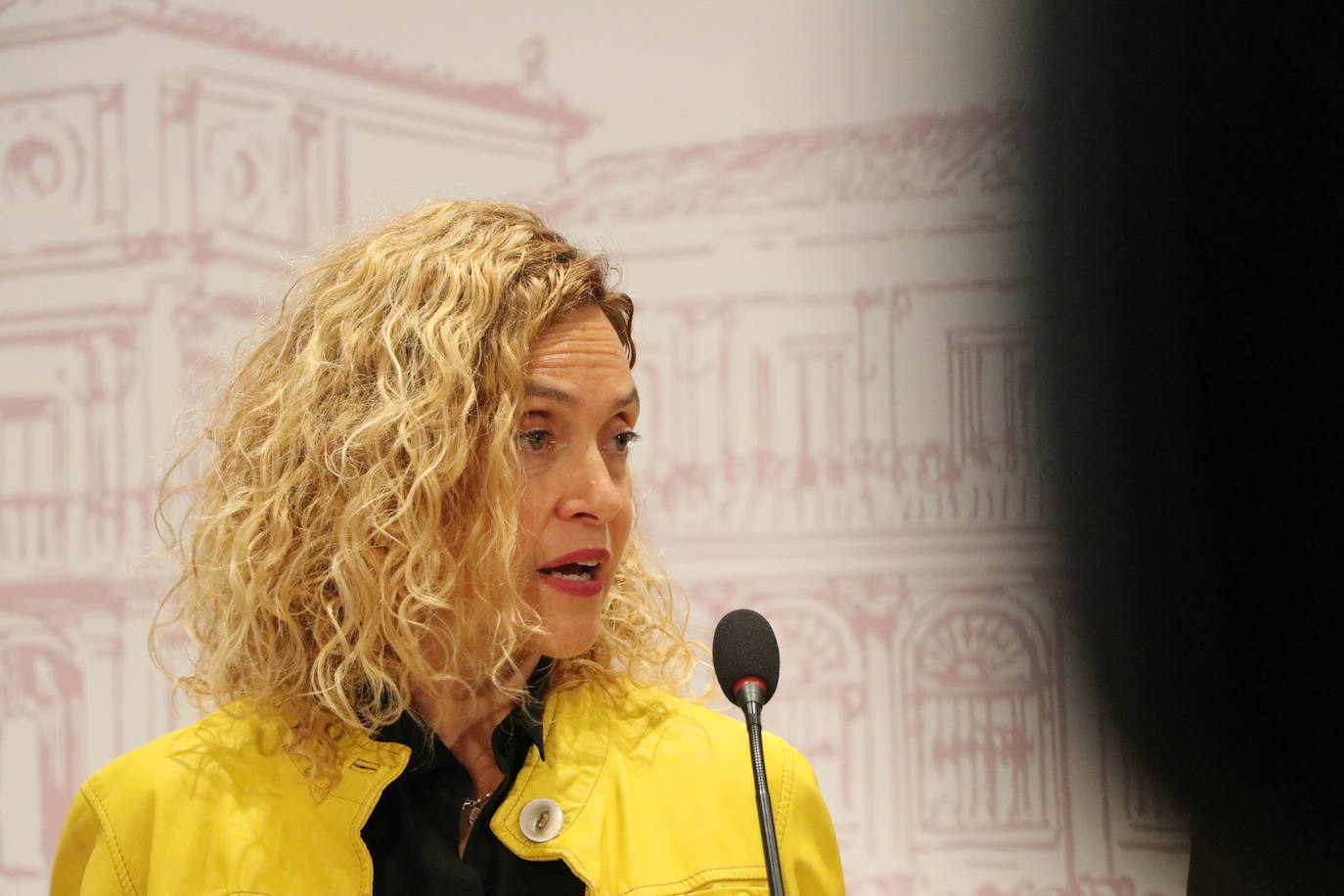 Meritxell Batet en León