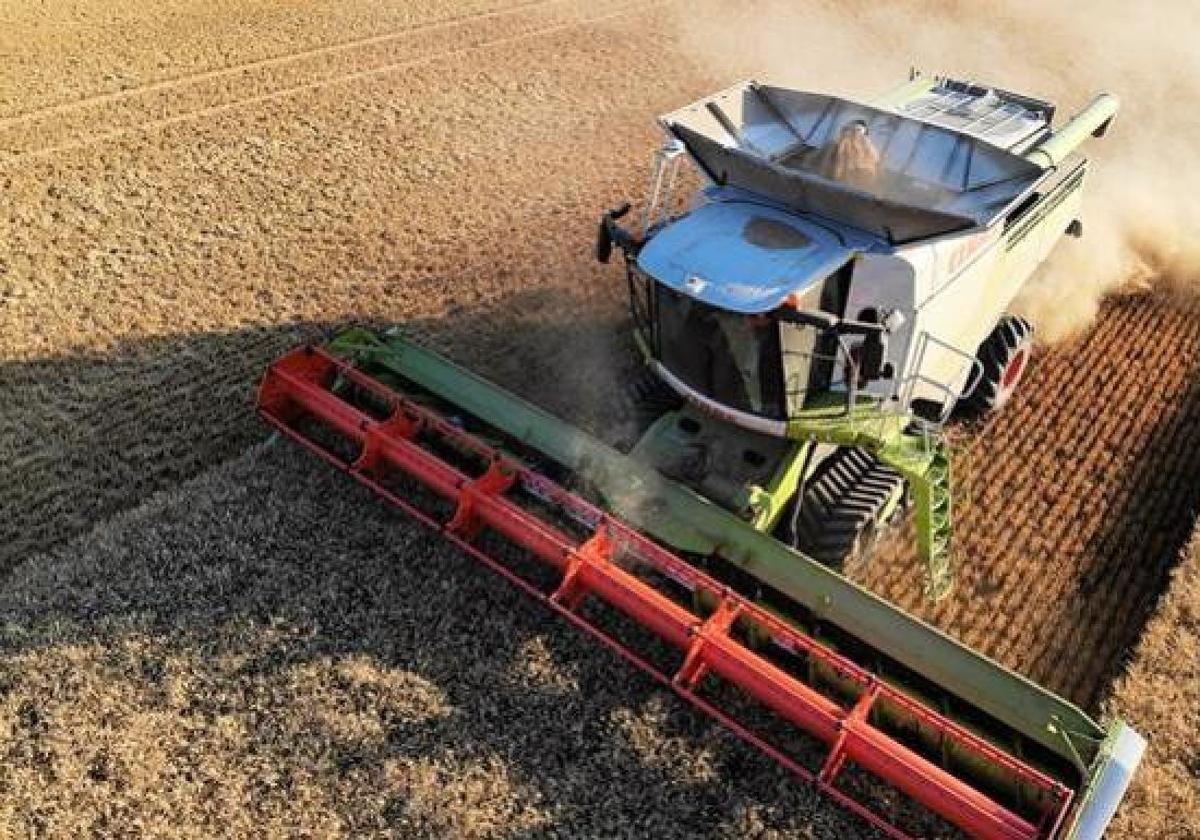 Imagen aérea de una cosechadora en un campo de cereales.