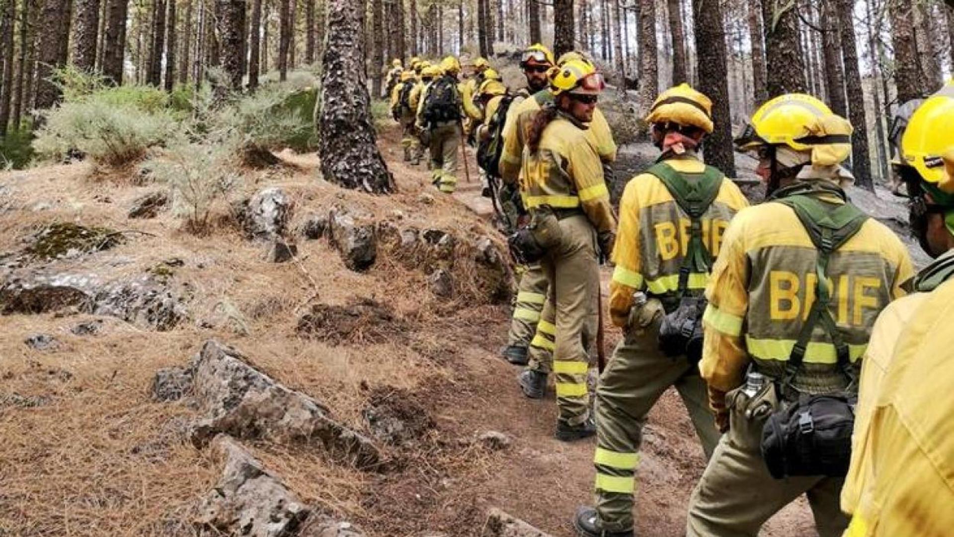 Declarada La época De Peligro Medio De Incendios Forestales En León