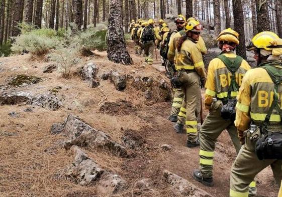 Brigadas forestales durante un incendio declarado en León.