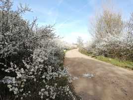 La primavera se ha adelantado en la provincia