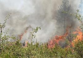 León seguirá en peligro medio de incendios hasta el 27 de abril.