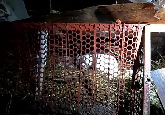 Imagen de los edificios bombardeados.