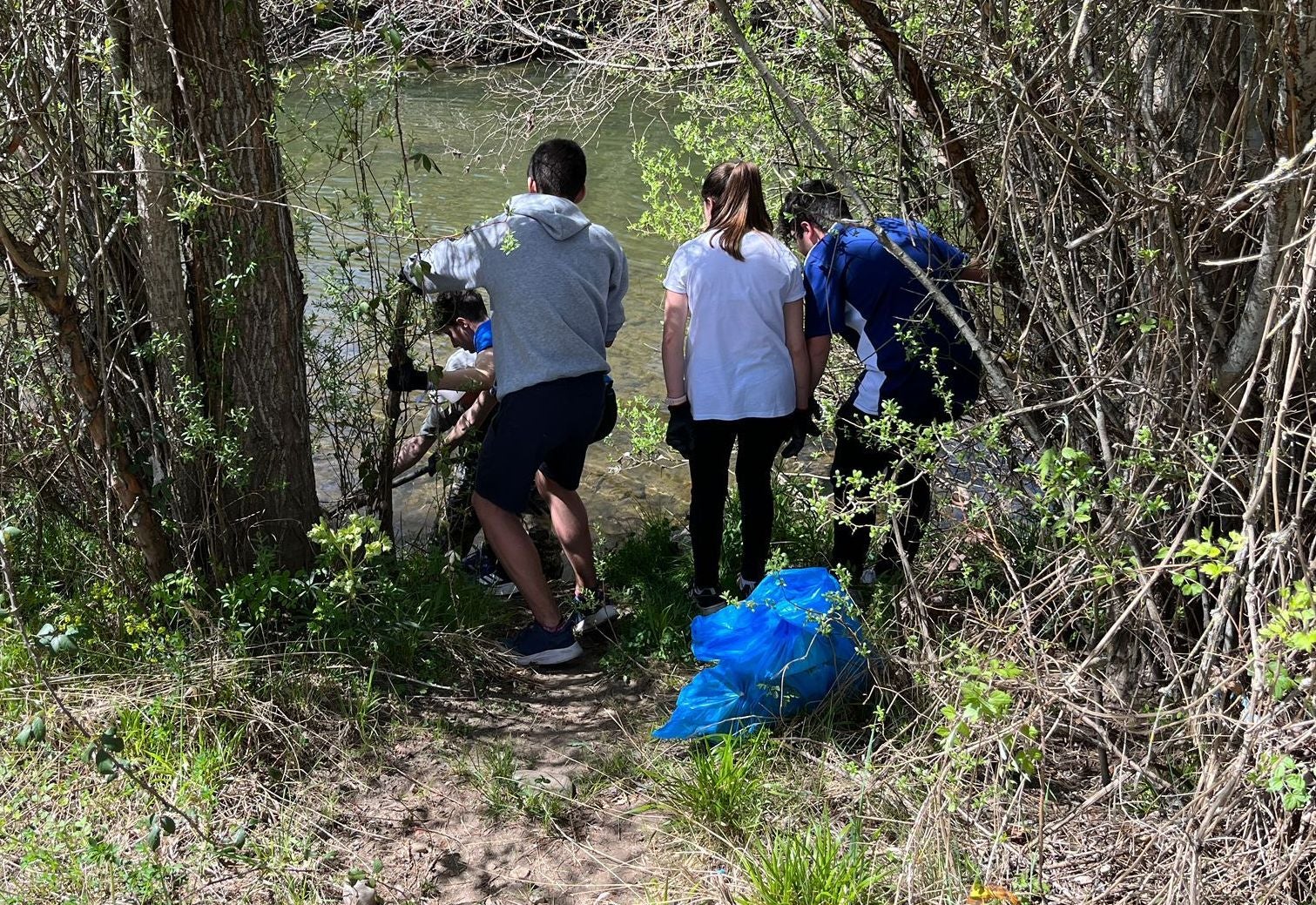 &#039;Basuraleza provincial intercentros&#039;