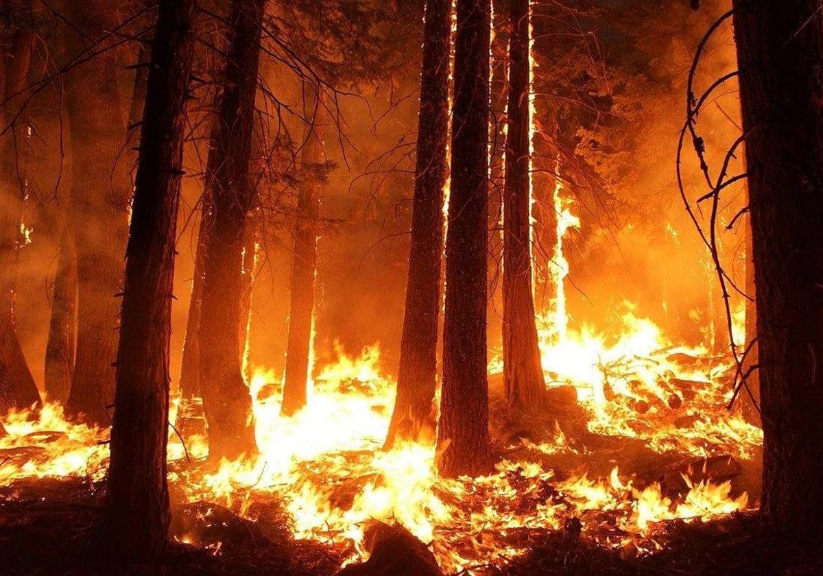 Imagen de archivo de un incendio forestal en la provincia de León.