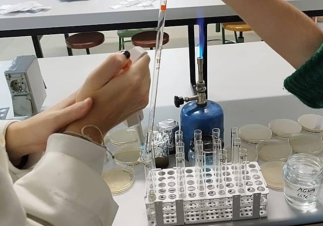 Imagen de una nueva fase del proyecto de restauración de suelos.