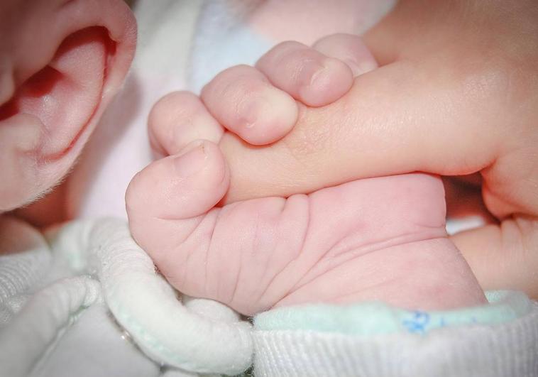 León suma 751 prestaciones por nacimientos en el primer trimestre