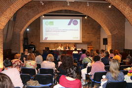 Satse ha celebrado una jornada dedicada a los profesionales de la enfermería y la fisioterapia